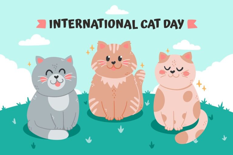 hari kucing sedunia - international cat day